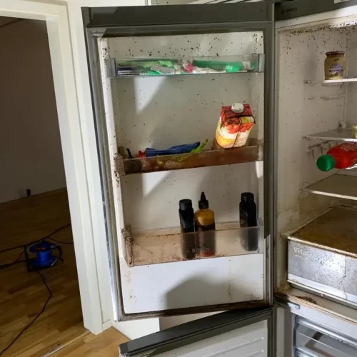 Sanering kylskåp
